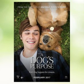 A Dog's Purpose (2017)