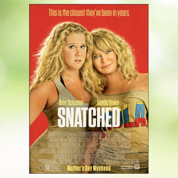 Snatched (2017)