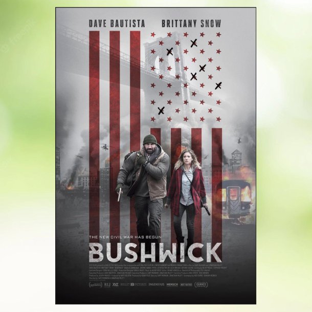 Bushwick (2017)