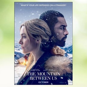 The Mountain Between Us (2017)