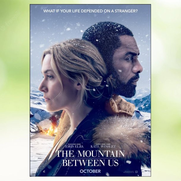 The Mountain Between Us (2017)