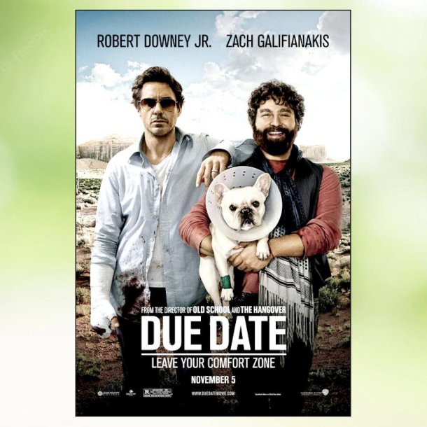 Due Date (2010)