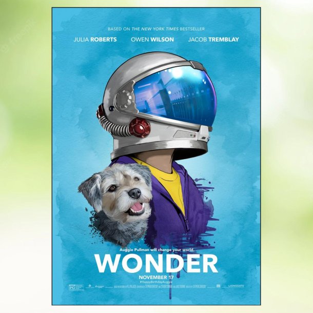 Wonder (2017)