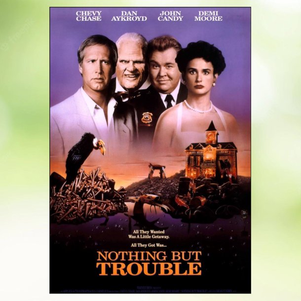 Nothing But Trouble (1991)