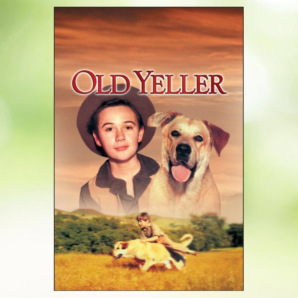Old Yeller (1957)