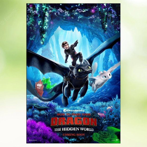How to Train Your Dragon 3 - The Hidden World (2019)