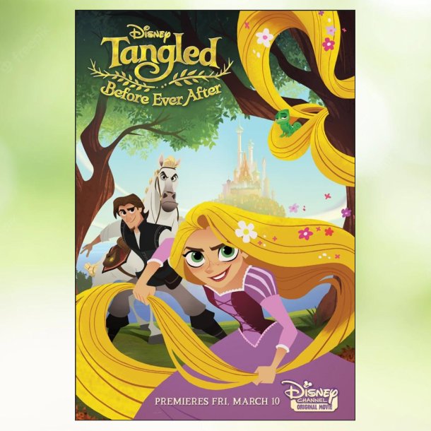 Tangled Before Ever After (2017)