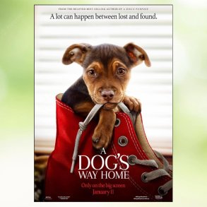 A Dog's Way Home (2019)