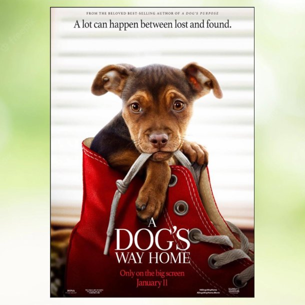 A Dog's Way Home (2019)