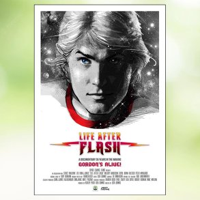 Life After Flash (2017)