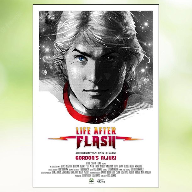 Life After Flash (2017)