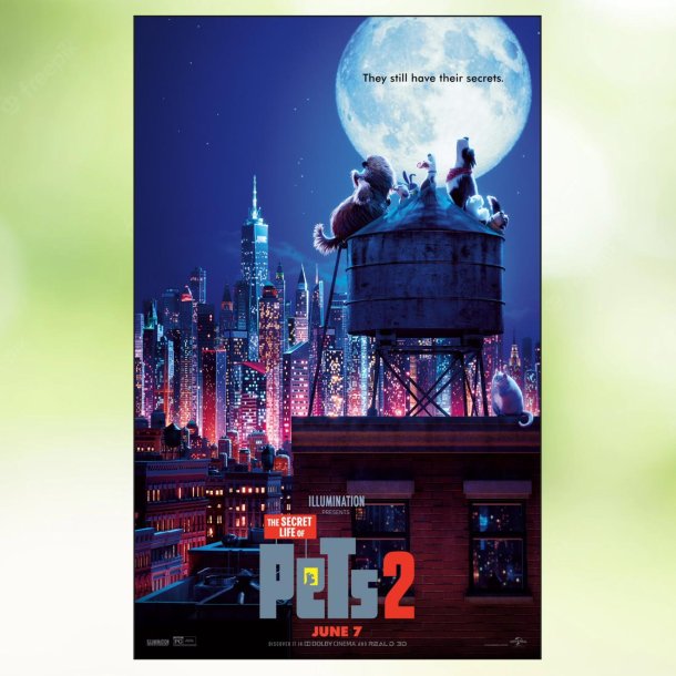 The Secret Life of Pets 2 (2019)