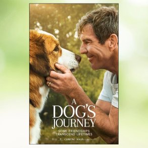 A Dogs Journey (2019)