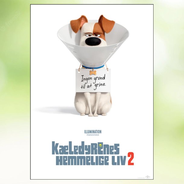 K�ledyrenes hemmelige liv 2 (2019)