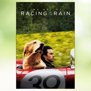 The Art of Racing In The Rain (2019)
