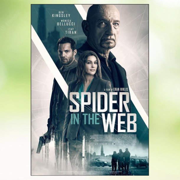 Spider in the web (2019)