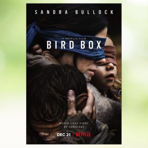 Bird box (2018)