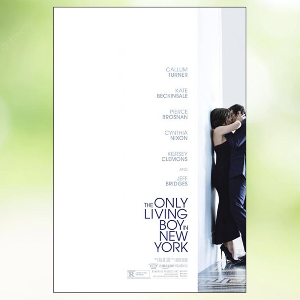 The Only Living Boy in New York (2017)