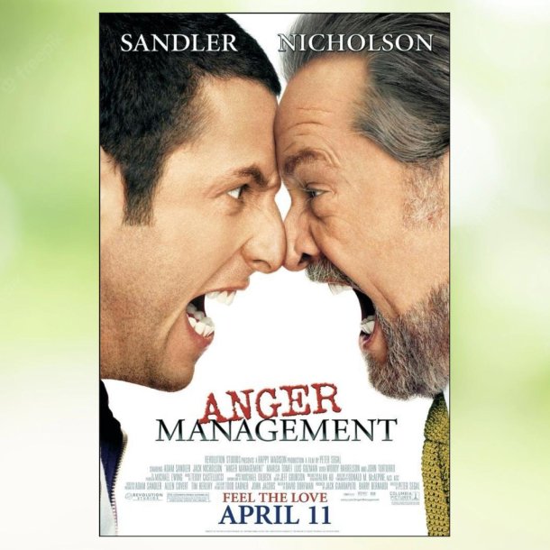 Anger Management (2003)