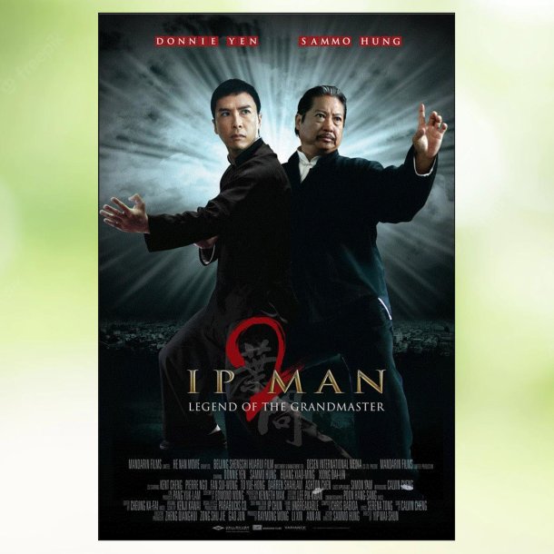 Ip Man 2 (2010)
