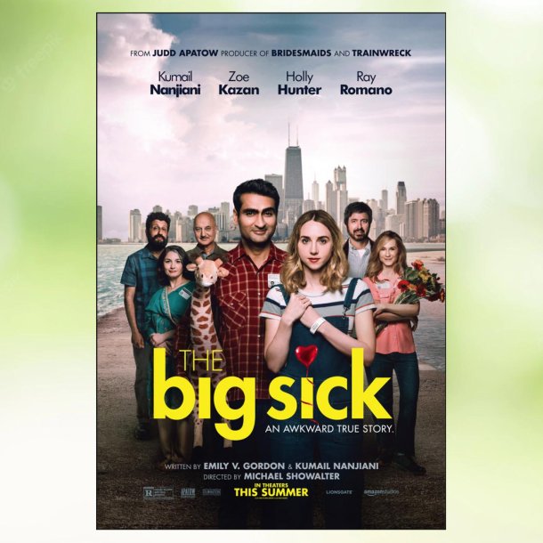 The Big Sick (2017)