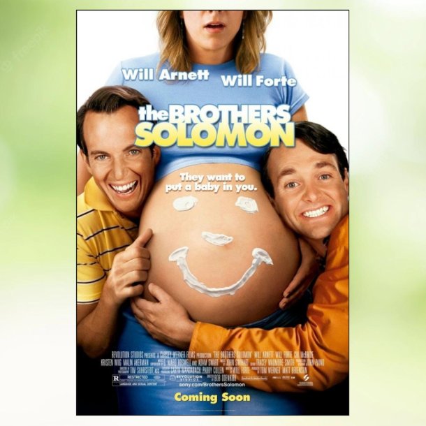 The Brothers Solomon (2007)
