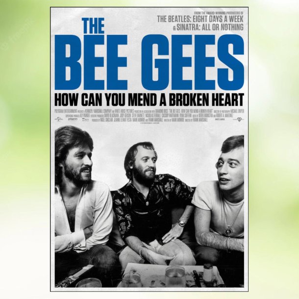 The Bee Gees: How Can You Mend a Broken Heart (2020)