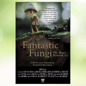 Fantastic Fungi (2019)