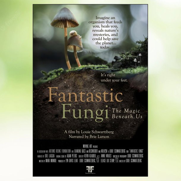 Fantastic Fungi (2019)