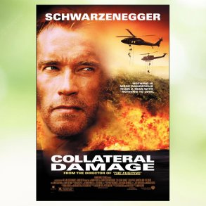 Collateral Damage (2002)