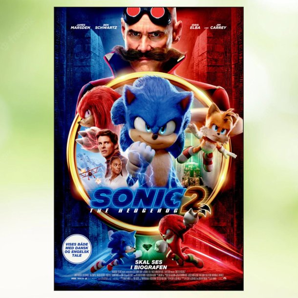 Sonic the Hedgehog 2 (2022)