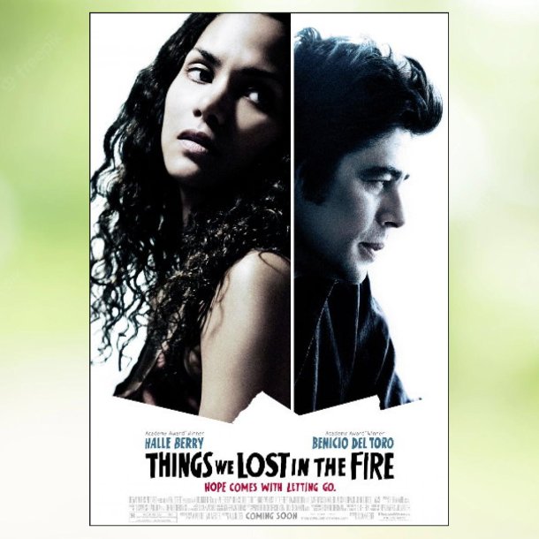 Things We Lost in the Fire (2007)