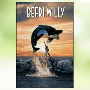 Befri Willy (1993)