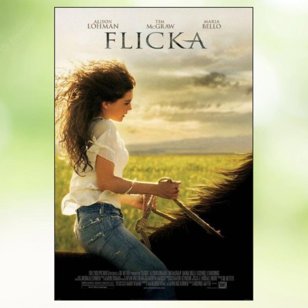 Flicka (2006)