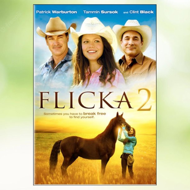 Flicka 2 (2010)