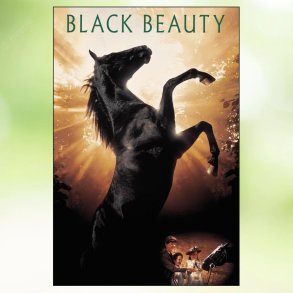 Black Beauty (1994)
