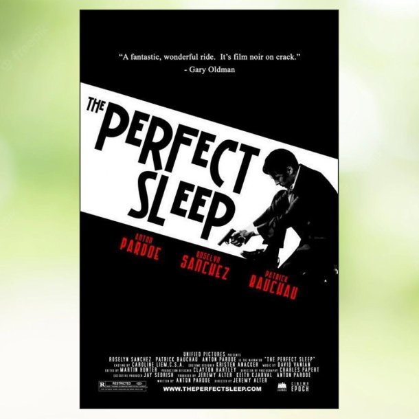 The Perfect Sleep (2009)