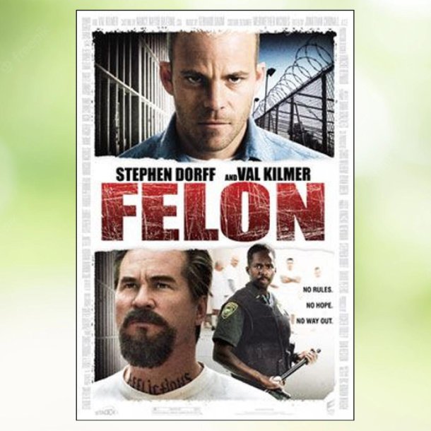Felon (2008)