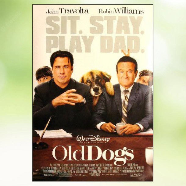 Old Dogs (2009)