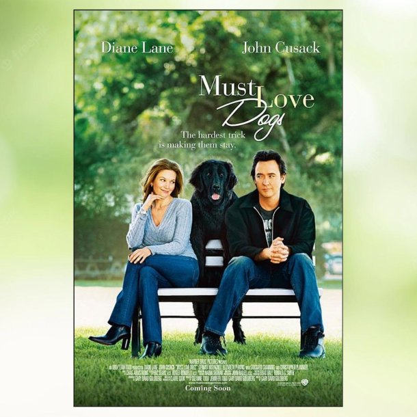 Must Love Dogs (2005)