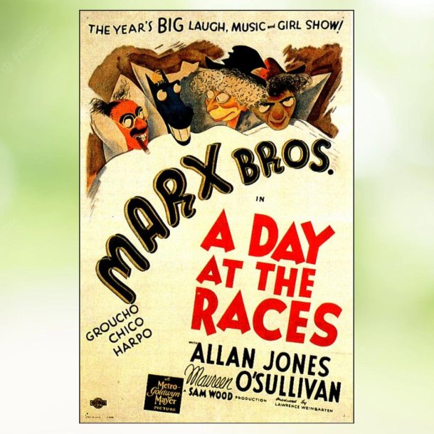 A Day at The Races (1937)